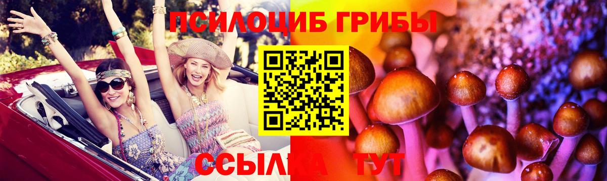 Псилоцибиновые грибы мухоморы  Вход с VPN  Урай  Псилоцибиновые грибы Psilocybe 